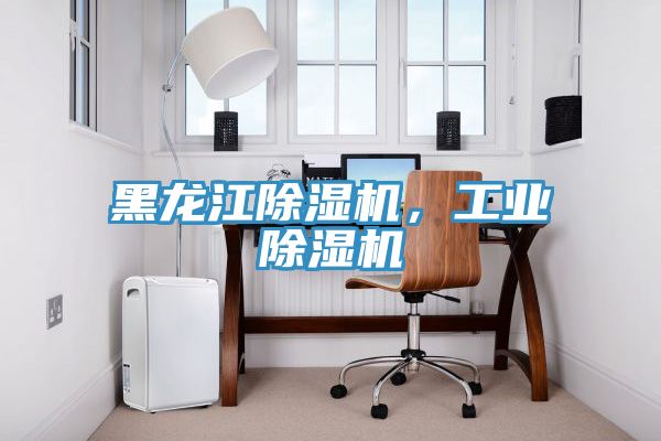 黑龍江除濕機(jī),工業(yè)除濕機(jī)